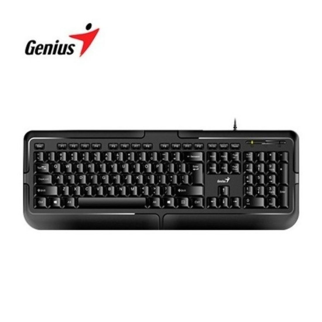 TECLADO GENIUS KB-118 USB          