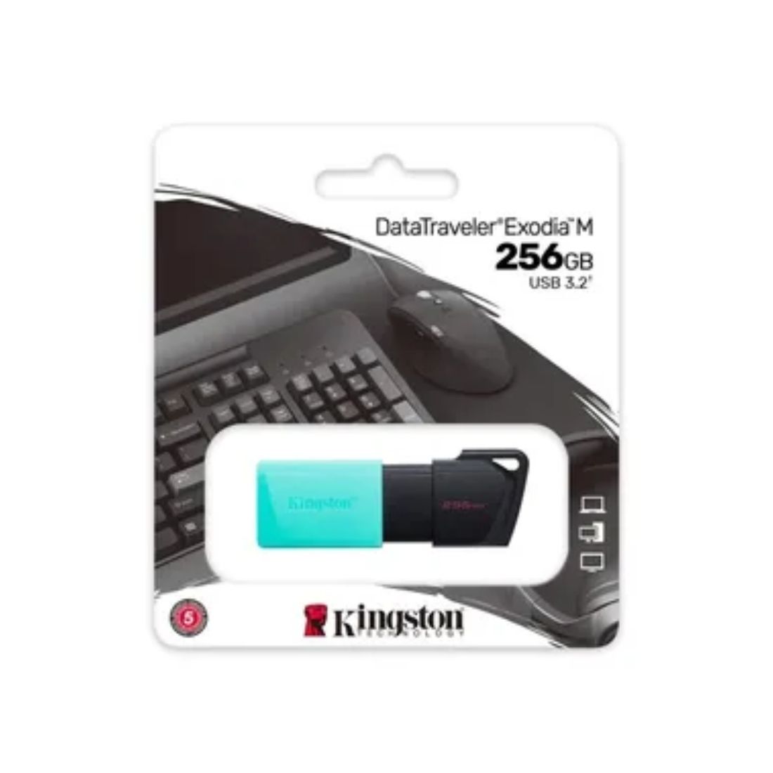 PEN DRIVE 256GB KINGSTON DTXM EXODI