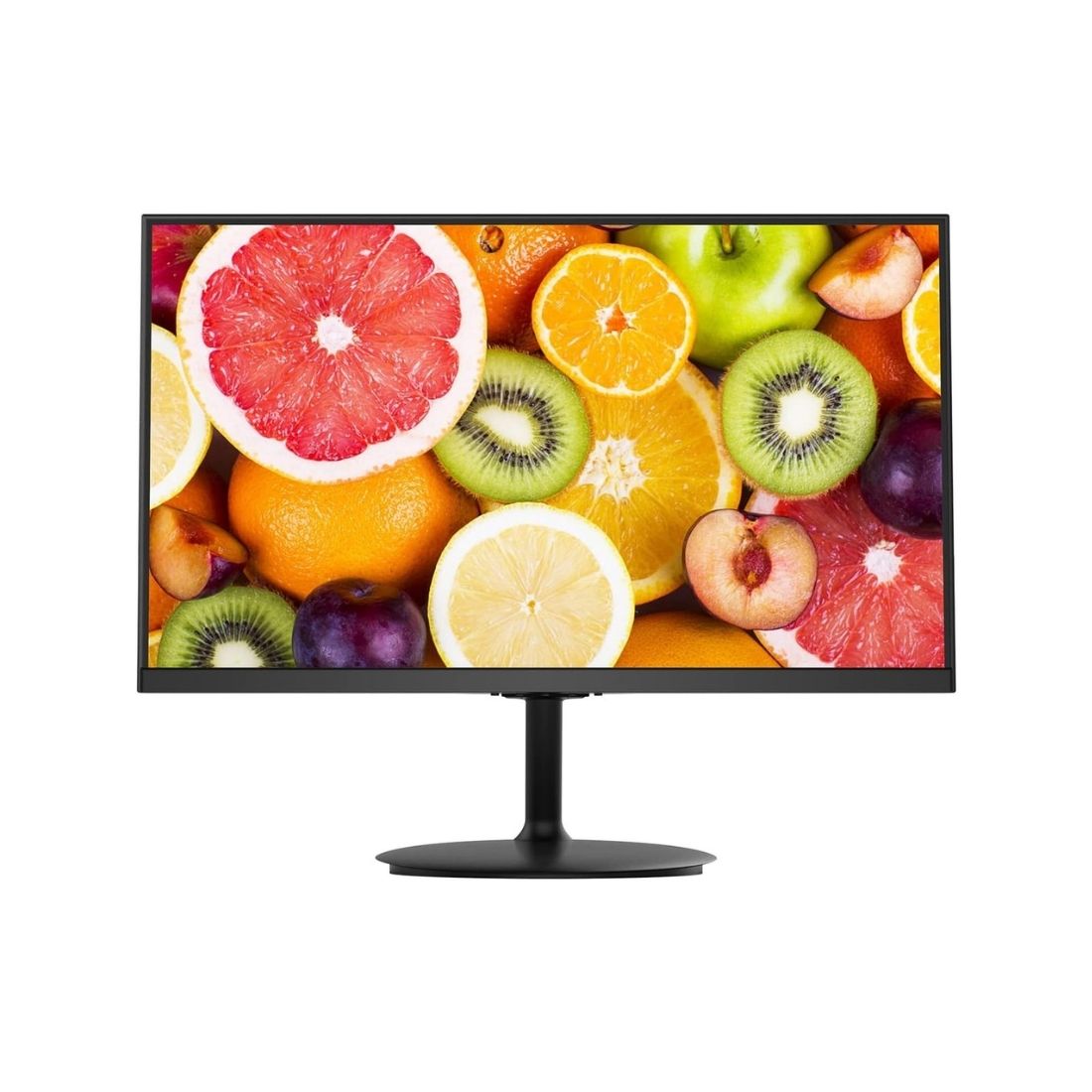 MONITOR 19