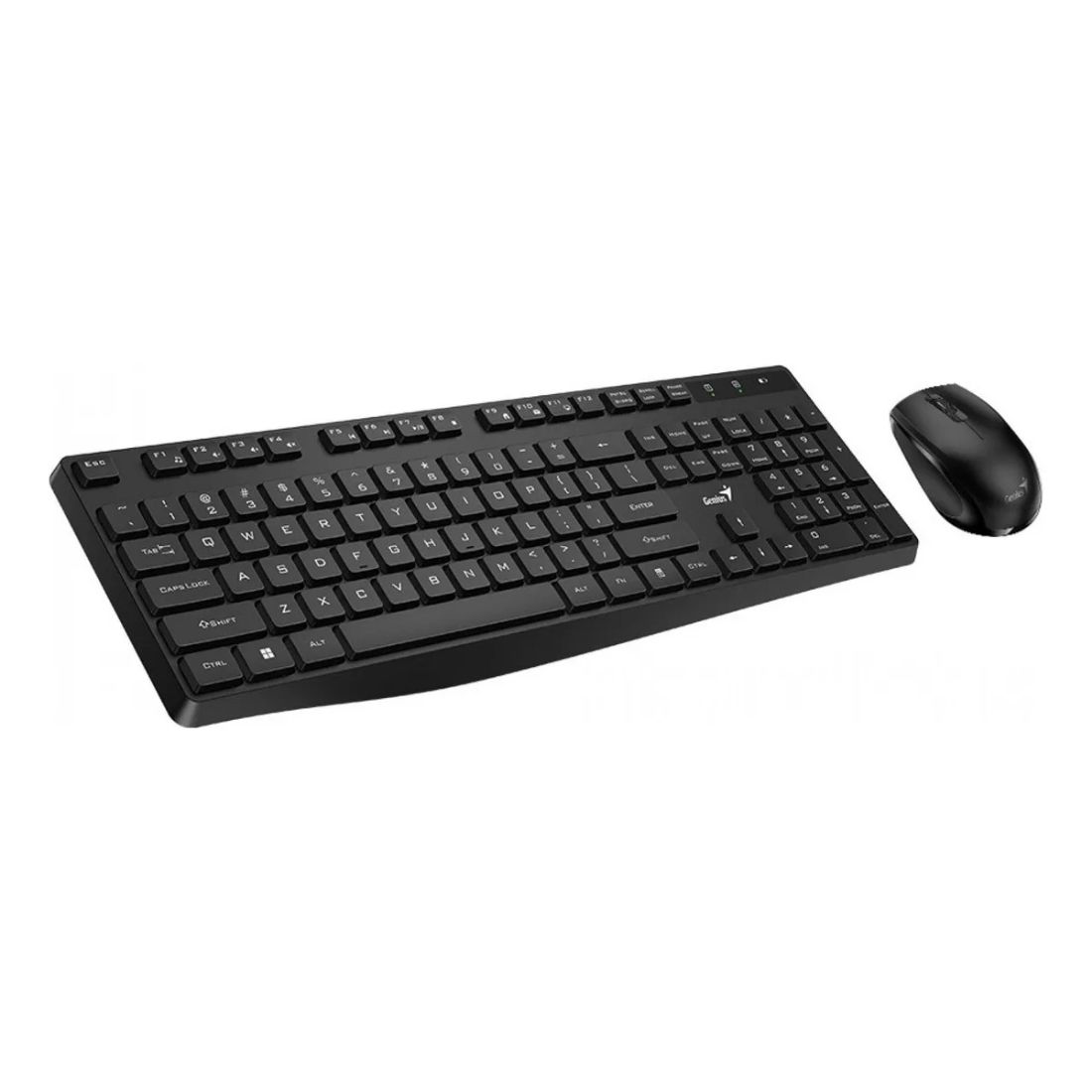 TECLADO+MOUSE GENIUS WIRELESS 8206S
